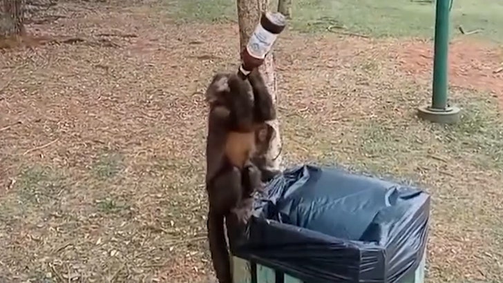 101024_monkey_beer_kal