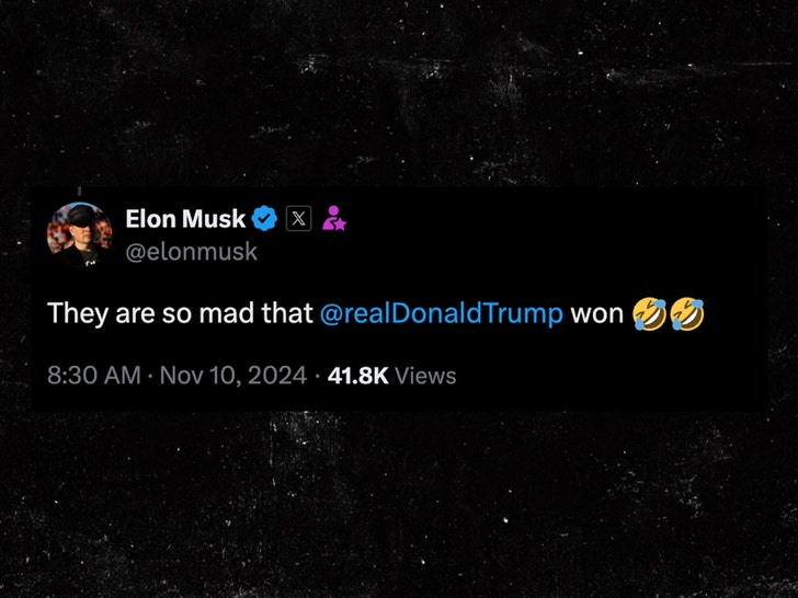 947c4ce896d64722bb30b83b96789da6_md-1 elon musk