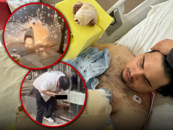 94bd95a1563c425b83748d4dd86be1dc_md dodgers fan blows hand off gofudnme