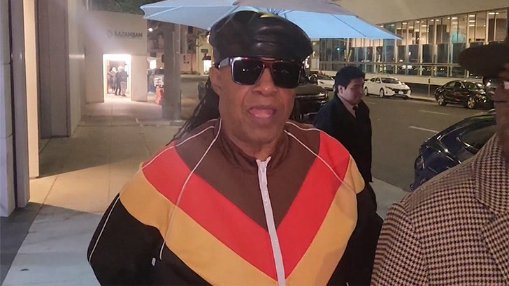 94c053afc4c54a788d51898765f4802e_md 012225_stevie_wonder_kal