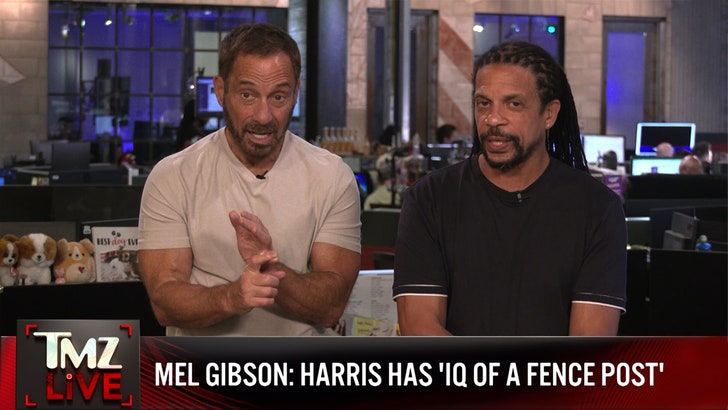 9652d8fcbb5f44089f18a3b37f619f5d_md 102524_tmz_live_gibson_kal