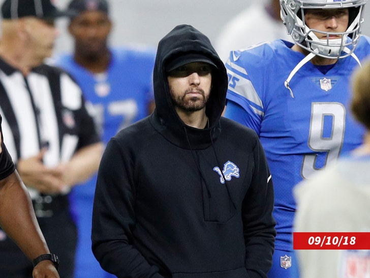 967ac5bbd87249459b377e4c39b254cc_md eminem