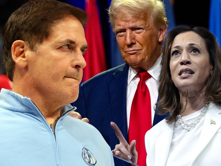 9698fbeac729490ab0971a19c7c64e45_md mark cuban trump harris
