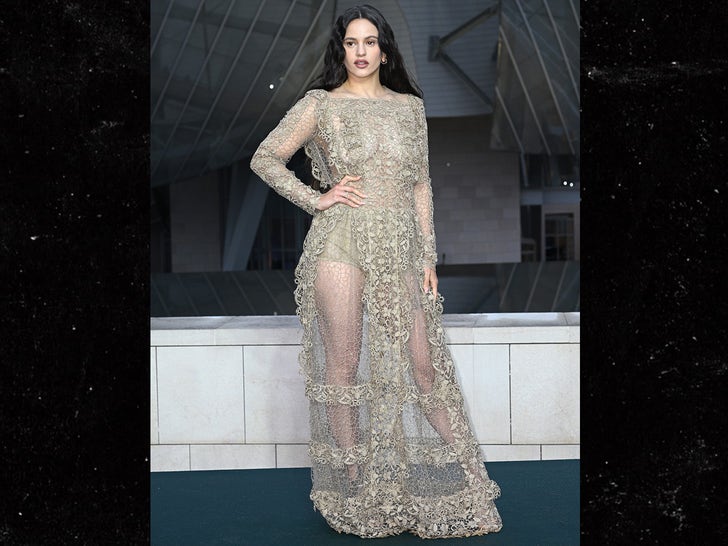 0725-Arrivals-At-The-Prelude-To-The-Olympics-At-Fondation-Louis-Vuitton-photos-primary-5