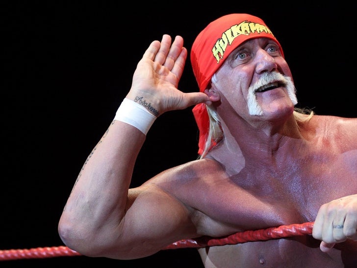 Hulk Hogan Wrestling ... Hulkmania Era