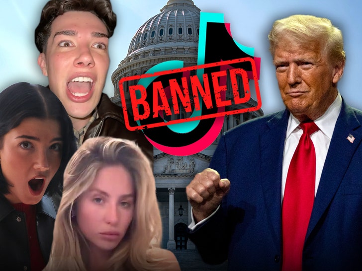 TikTok Stars React to U.S. Ban As Donald Trump Declares