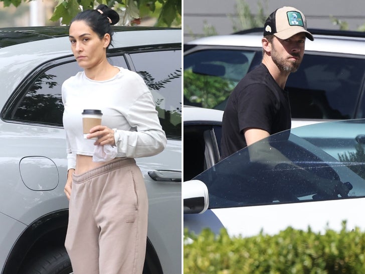 a4f2dcbe34d14131a9d63f0e1d206bef_md 0916-Nikki-Bella-Artem-Chigvintsev-Together-Matteo-photos-primary-2