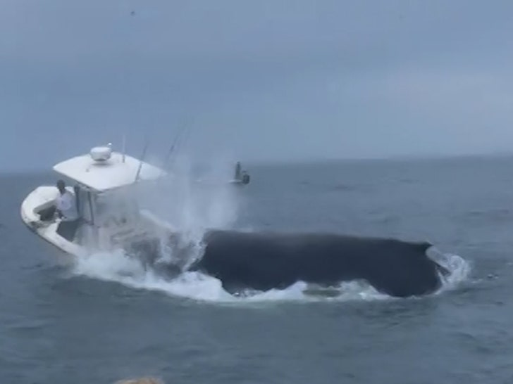 a77eda1536bf4131b904cf9885ee8fdc_md 072324_whale_boat-sg1