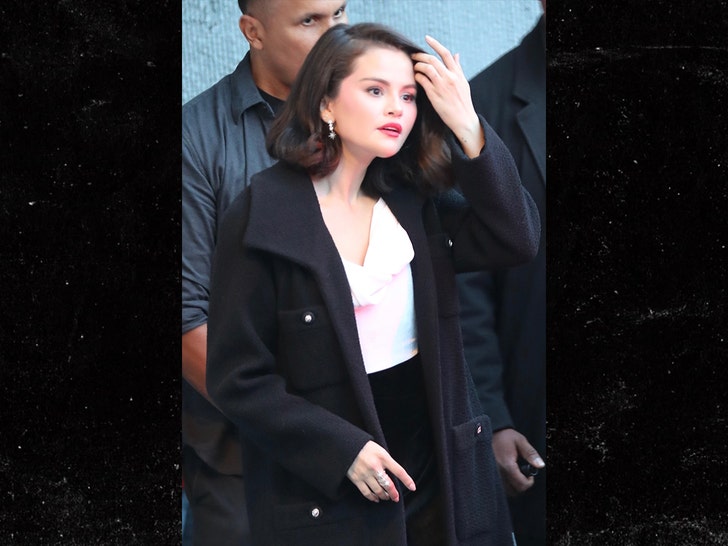 a9397a5b6fbb4d6c9a0785f531e8fbe7_md selena gomez no engagement ring