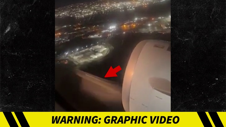 121324-bird-plane-graphic-kal