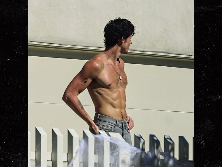 ad28c9d1c79c406db7949e8b0b8ca111_md shawn mendes