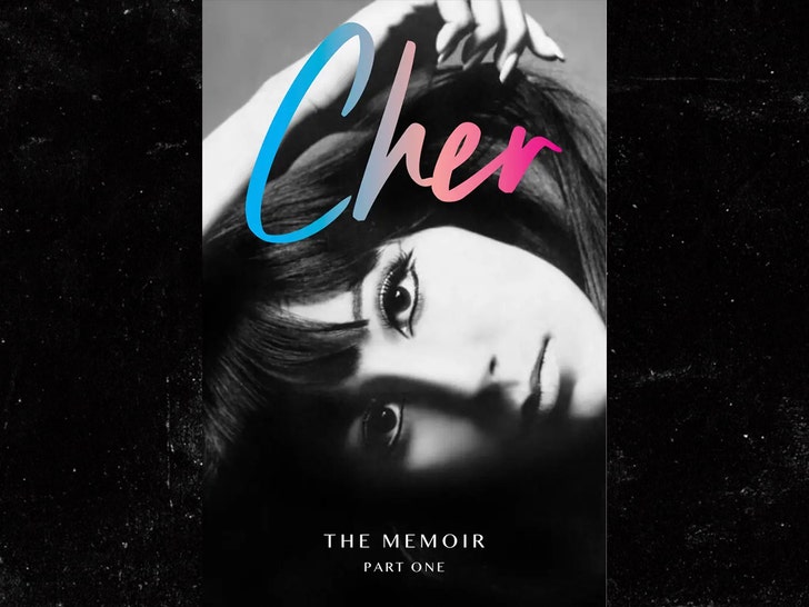 ae076a56529547529e133e0fc6a3f24e_md-1 cher the memoir book no credit 1