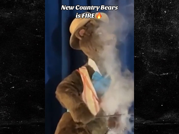 affe2fe1104a4a35b40d6c2744601c95_md 071924_country_bear-sg1