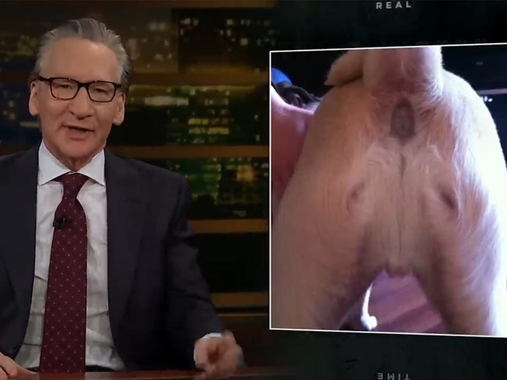 072024_bill_maher-jesus-dog