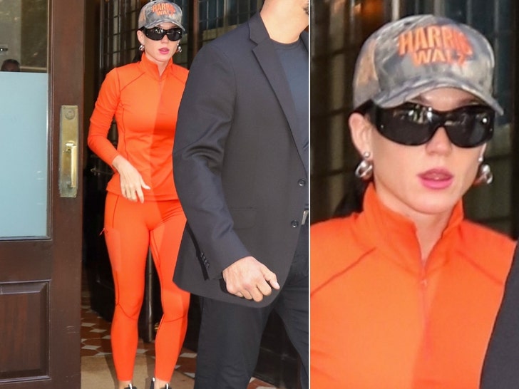 b041c3e3ba6e48d0862bf4991398eb52_md katy perry harris walz hat