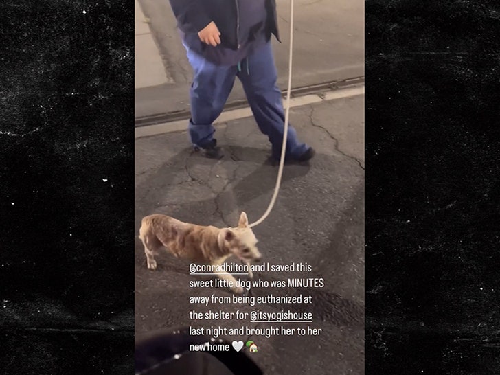 b0847753a6314948a617fa02ca7458a1_md 120324-emma-kenney-primary-2