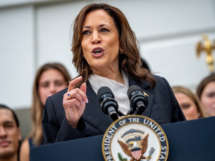 Kamala Harris On The Campaign Trail