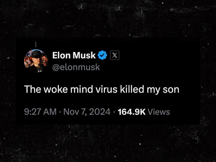 b6665841ed5444508d83c4a8e82403ba_md elon musk tweet sub