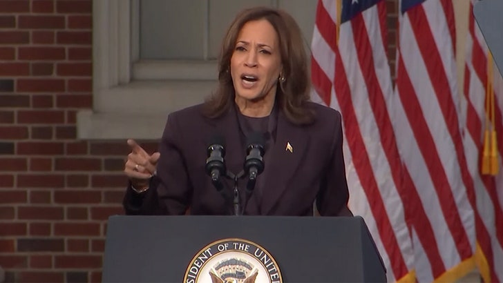 c090f5e580a3433c9441bf04d92cfdb9_md-1 110624_kamala_harris_livestream_kal