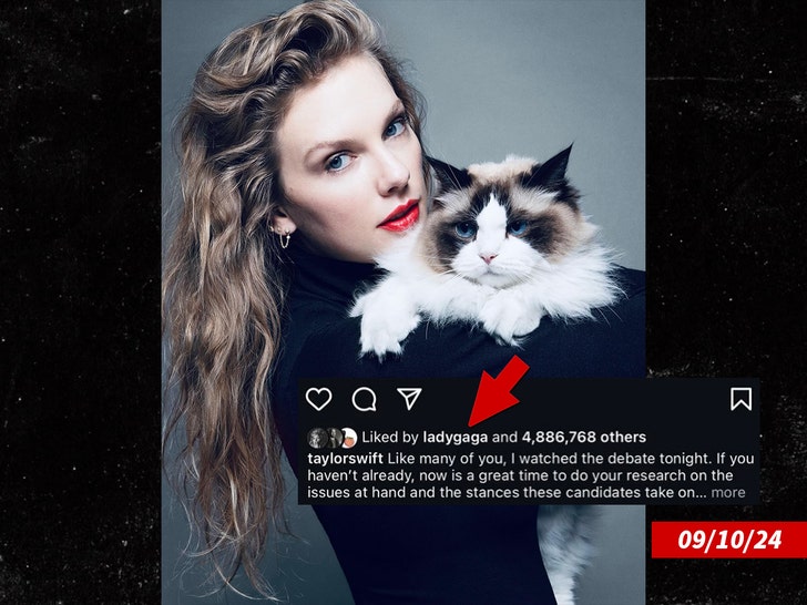 c0cd17102e614959889be8fe7ef6d857_md taylor swift lady gaga insta 1