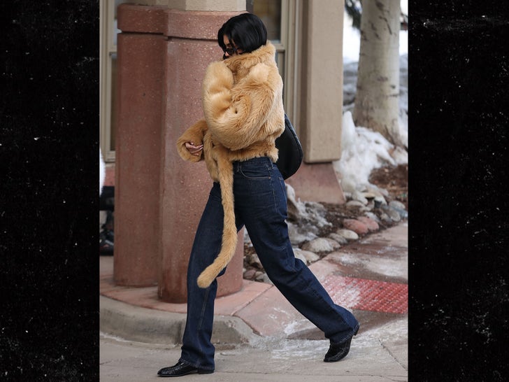 c2454998df024b66bf203a8f29b1960c_md 0120-kylie-kendall-jenner-aspen-fur-fashion-photos-primary-3