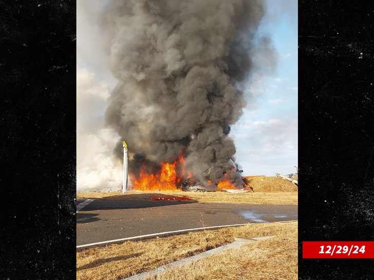 c2d6298cbc2842a2b5dbb041385e8173_md jeju airplane crash