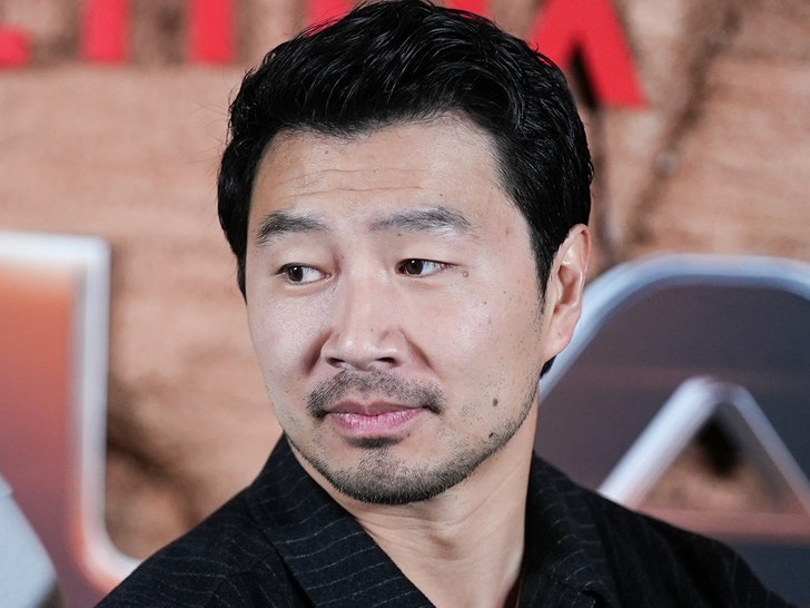 c526c0641e4b402eb3d6c540bfb95219_md Simu Liu