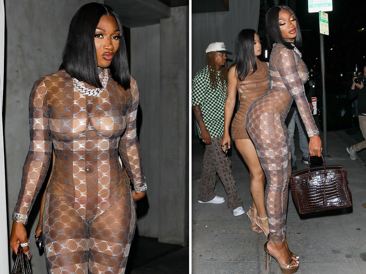 Megan Thee Stallion's First Outing Since Tory Sentencing