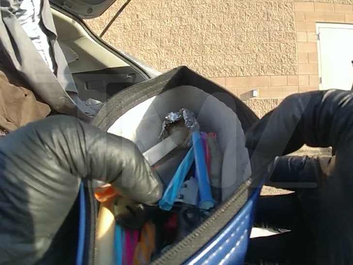 c65303b57a28436bbdf82603c42b36a7_md 111924-cops-sex-toy-drugs