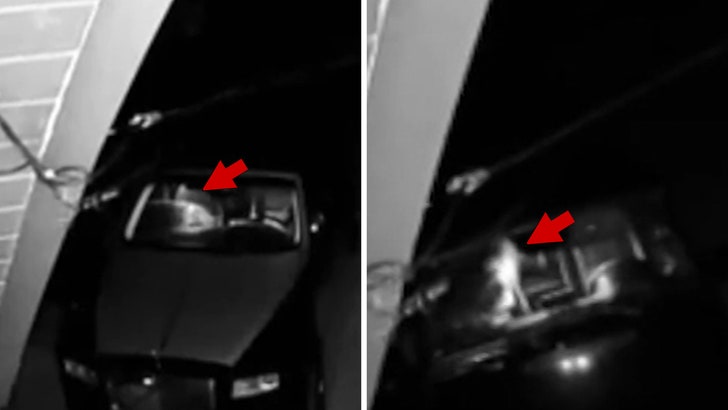 cb9d1614c68d428cbbacb450d56e4938_md-1 111424_bear_car_kal