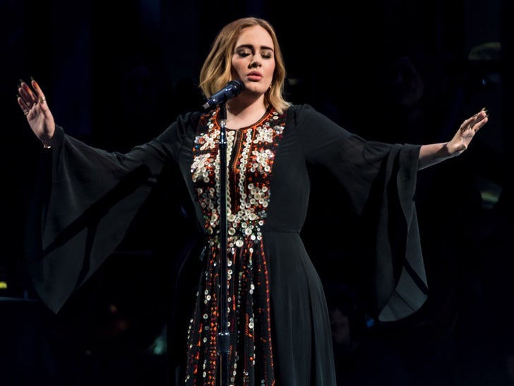 Adele Performance Photos