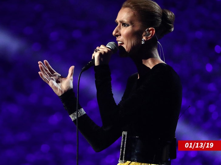 celine dion performing