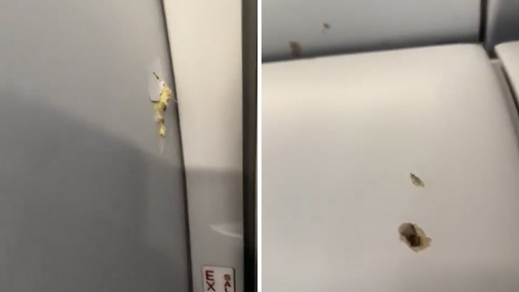 cd2dec6029d3496db41cbf760dc81ecc_md-1 111124_airplane_gunshots_kal