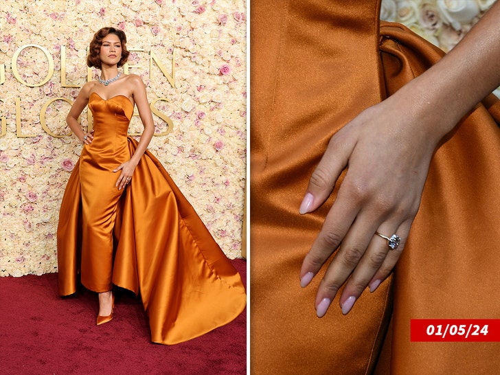 d0c42990cd7f4e0eafbd9b5fa50219d4_md zendaya getty 1