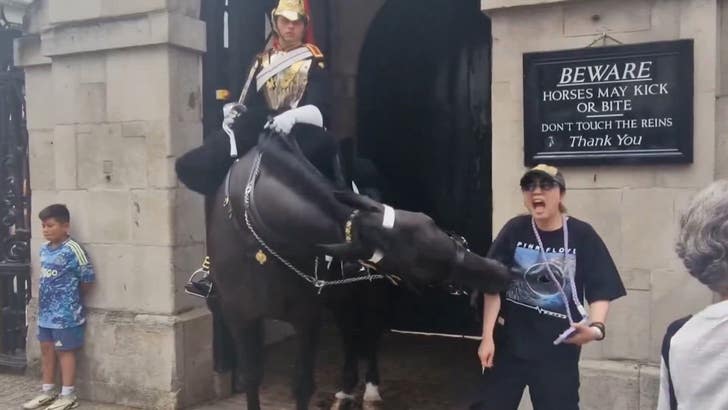 072224_horse_bite_1869837