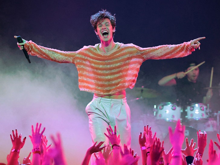 d4c61b5c6f58439b842063477a1f5a76_md Shawn Mendes Performance Photos