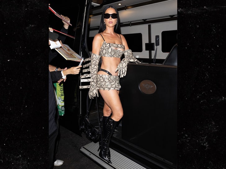 d4e017f5f7ed4170bcf93e31c51334d7_md katy perry