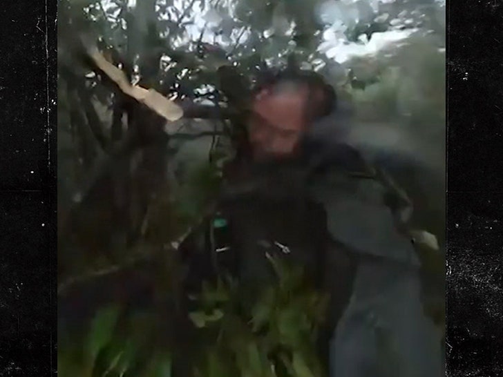 d5fa09fa9bbe46cfa1de112309332ab8_md 092024-hiker-trees