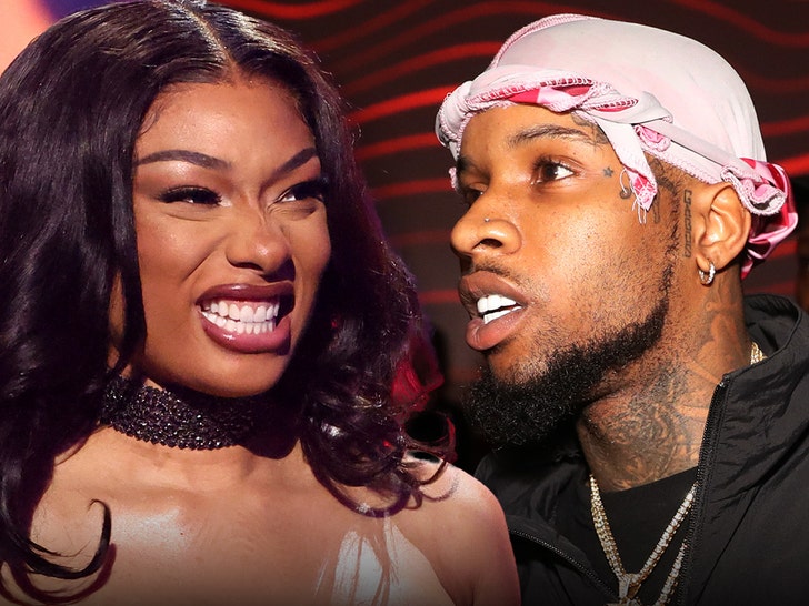d6595e10a27f49b0b8a5d3a05fbcdb78_md Megan Thee Stallion Granted 5-Year Restraining Order Against Tory Lanez
