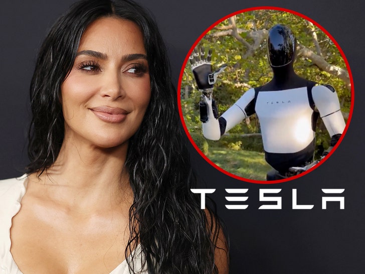 d7fcaa11eaa34b42916c9c8d4869b4b7_md kim kardashian tesla robot