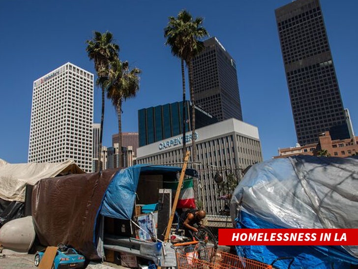 homelessness in LA