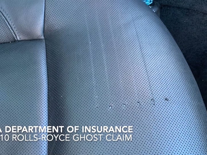 d9943dae99d94efbbea29a223ca20f8b_md 111424-bear-car-primary-4