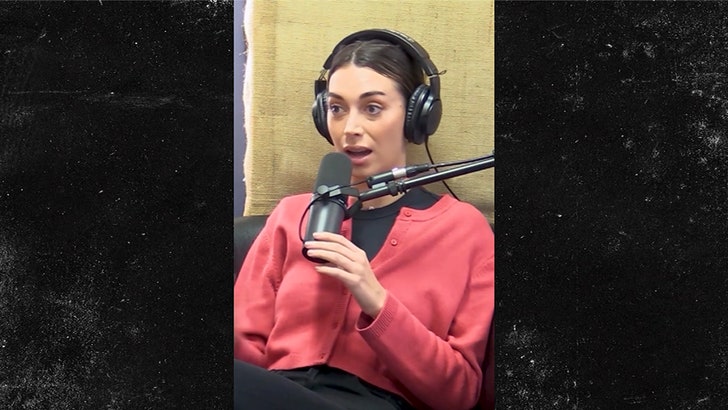 dcb3a8ebd4f841d88aeded268055094a_md-1 110724_brianna_chickenfry-kal