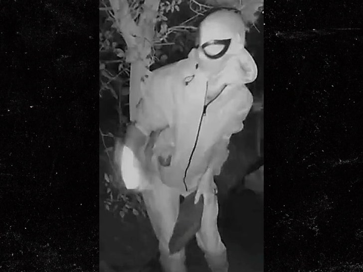 Spider-Man Suspect Stalking Victim With Package Deliveries in England, Photos