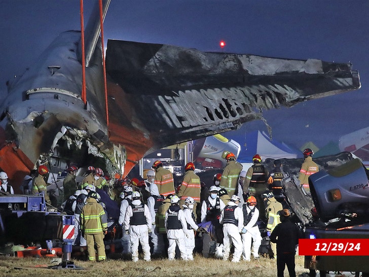 dd431b34a54940348b0dde55cfa62933_md jeju airplane crash