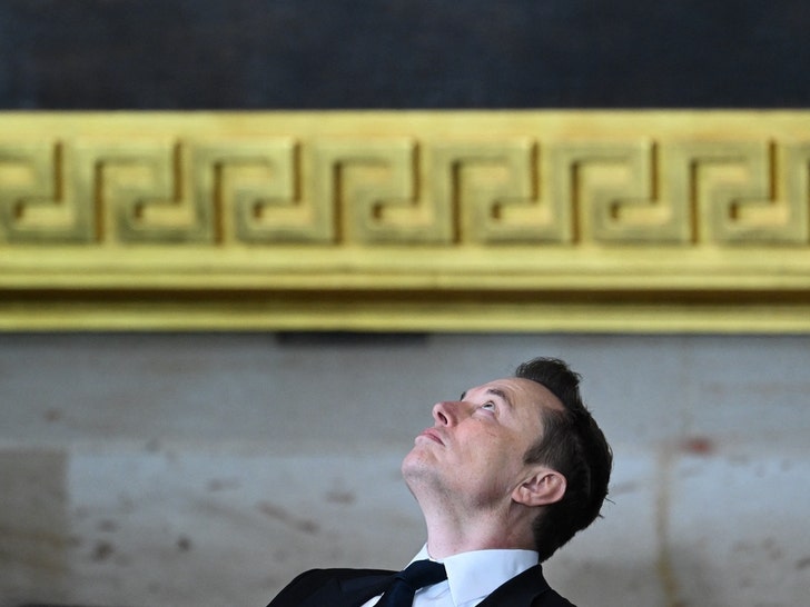 Elon Musk -- Things Are Looking Up At Presidential Inauguration