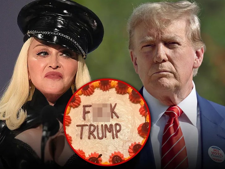 e1dbb3c7aab645af9f53469d6ea80e06_md madonna trump