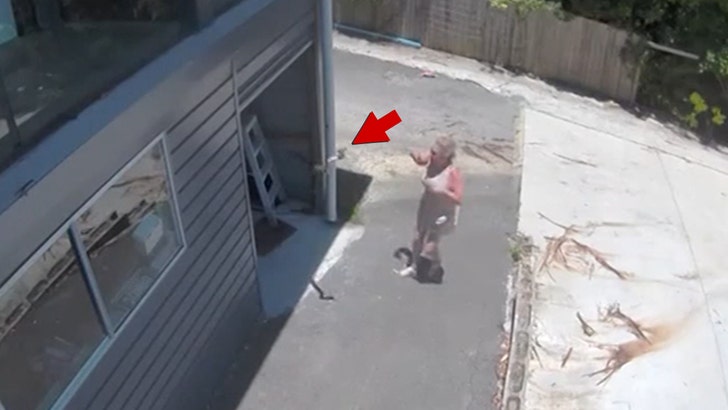 e1ded5fac0fb40529bab8987475b5544_md 112824-snake-kal