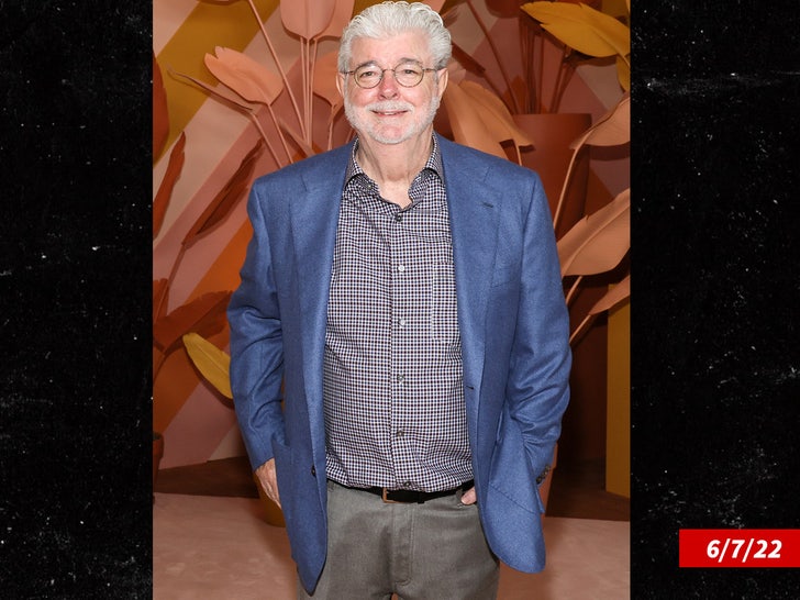 e4e3518d649a43578c8958666bd8ec13_md george Lucas attends MoMA's Party