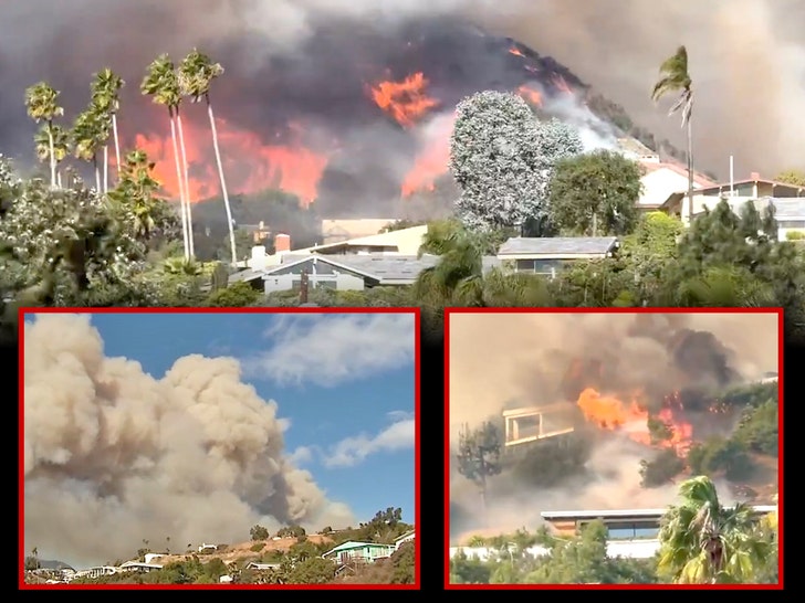 Pacific Palisades Fire California Los Angeles X